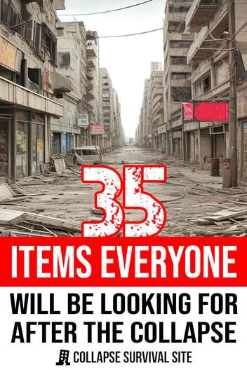 The survival skills necessary to navigate a city during a disaster are very different from the skills many preppers are accustomed to. Camping Food Storage, Biodiversity Loss, Emergency Preparedness Food Storage, Prepper Gear, Zombie Apocolypse, Emergency Preparedness Food, Survival Prep, Emergency Prepardness, Survival Items