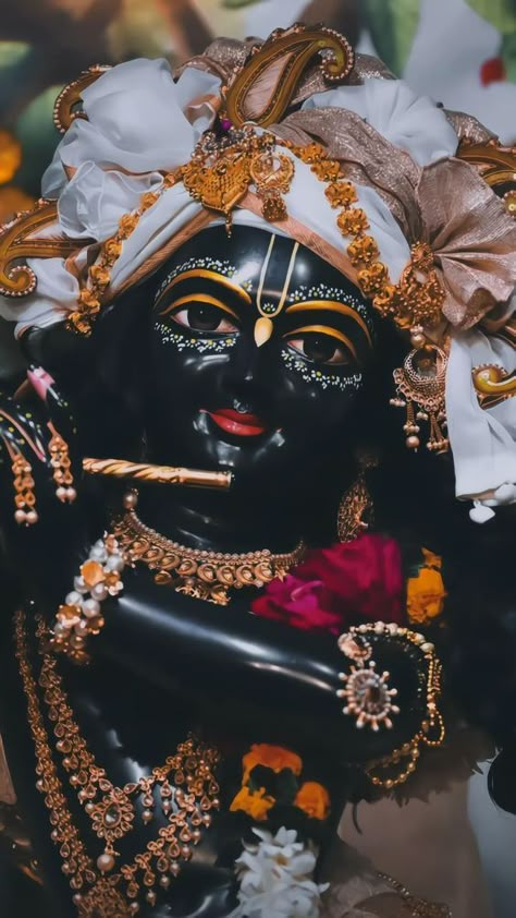 Kanha Ji Images, Krishna Video, Vrindavan Photography Pictures, Lord Photo, Krishna Book, Little Krishna, Lord Krishna Hd Wallpaper, Peace Illustration, Radha Krishna Wallpaper