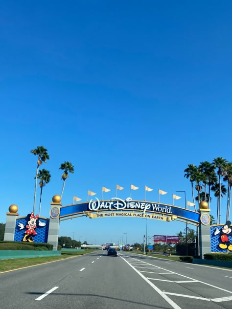 Disney Vision Board, Disney World 2025, Orlando Florida Aesthetic, Walt Disney World Aesthetic, Orlando Aesthetic, Disney Orlando Florida, Orlando Florida Disney, Disney World Aesthetic, Disney 2025