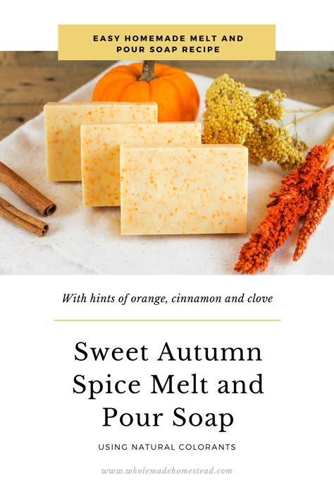 Pumpkin Spice Soap Melt And Pour, Homemade Fall Soap Recipes, Melt And Pour Pumpkin Soap, Apple Cinnamon Melt And Pour Soap, Apple Cinnamon Oatmeal Soap, Melt And Pour Soap Recipes For Fall, Autumn Melt And Pour Soap, Pumpkin Melt And Pour Soap, Fall Soap Recipes Melt And Pour