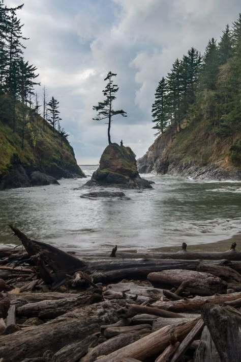 Deadmans Cove Cape Cape Disappointment, Outdoor Photography Tips, Washington State Travel, Pretty Places, Landscape Photographers, Outdoor Photography, Washington State, Pacific Northwest, Nature Pictures