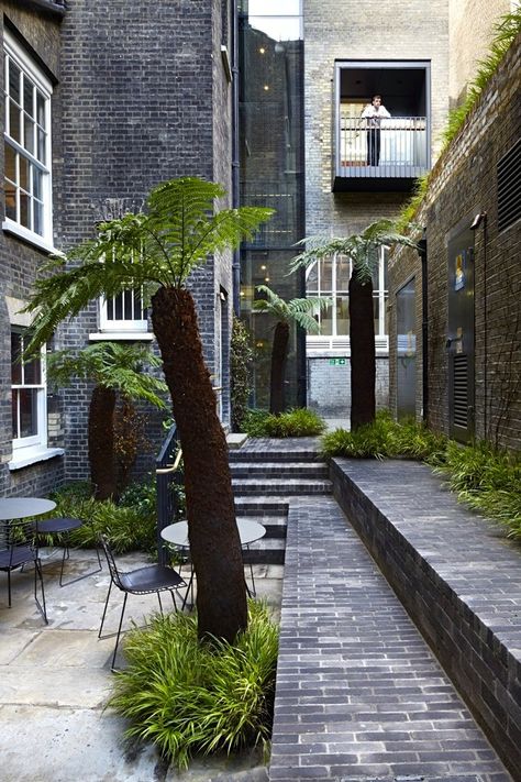 piccadilly-garden-tree-ferns-london-gardenista London Courtyard, Secret Courtyard, Dicksonia Antarctica, Electrical Substation, Tattoo Garden, Shady Garden, Irish Garden, Garden Nails, Tattoo Plant