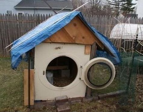 20 Green Ideas for Recycling Metal Barrels and Improving Functionality of Yard Landscaping Old Washing Machine, Bizarre Photos, Metal Barrel, Ways To Recycle, Hen House, Clothes Dryer, Chicken House, Chicken Coops, Raising Chickens