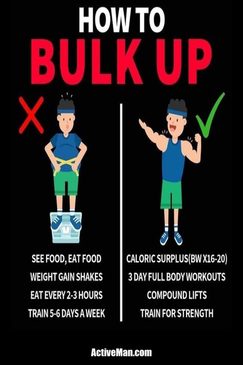 Are you looking to bulk up? Do you want to know how to bulk up fast and safely? This guide will teach you everything you need to know about bulking up, including the right way to eat, the best exercises for bulking up, and more. Get started today! How To Bulk Up Men, How To Bulk, Bulking Motivation, Deltoid Exercises, Weight Gain Shakes, Weightlifting Workouts, Deltoid Workout, Body Recomposition, Compound Lifts