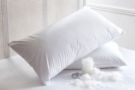 A great night’s sleep depends upon a proper pillow. Flattened, de-shaped, clumpy, worn out pillows are bad for your neck, and make it difficult for your body to relax and be in a comfortable position. Photography Pillow, Goose Down Pillows, Goose Feather, Feather Pillows, Goose Feathers, Pillow Top, Dust Mites, Great Night, Beautiful Pillows