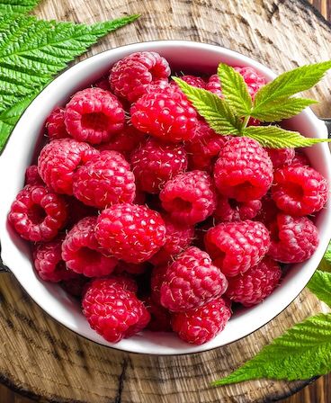 Raspberry Health Benefits, Raspberry Benefits, Fruit Picture, Fruit Photography, Beautiful Fruits, Fruit Vegetables, Delicious Fruit, Fresh Fruits, Fruit And Veg