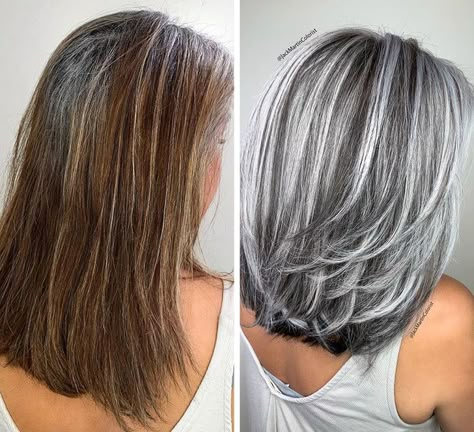 Blond Cenușiu, Grey Hair Transformation, Long White Hair, Gorgeous Gray Hair, Grey Hair Inspiration, Silver Highlights, Gray Hair Growing Out, Going Grey, Silver Hair Color