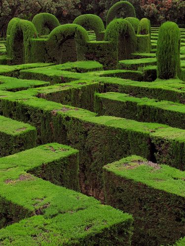 Riot House, Maze Garden, Hedge Maze, Garden Maze, Maze Labyrinth, Labyrinth Maze, Labyrinth Design, Topiary Garden, Rock Garden Design