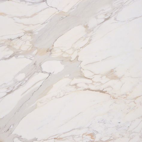 Calacatta Gold Marble Natural Stone Collection | M S International Inc. Calacatta Gold Quartz, Calcutta Gold, Replacing Kitchen Countertops, Gold Tile, Calacatta Gold Marble, White Marble Tiles, Marble Tile Floor, Honed Marble, Marble Backsplash