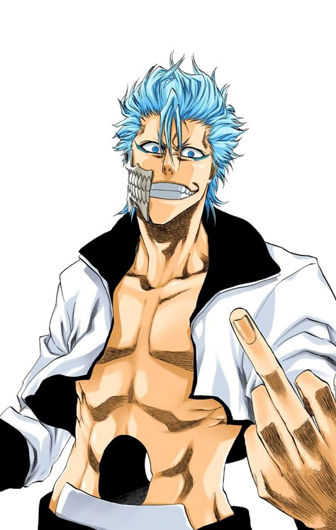 Grimmjow Bleach, Grimmjow Jaegerjaquez, Ichigo Kurosaki Wallpaper, Ichigo Manga, Gesture Drawing Poses, Bleach Drawing, Rukia Bleach, Bleach Characters, Bleach Art