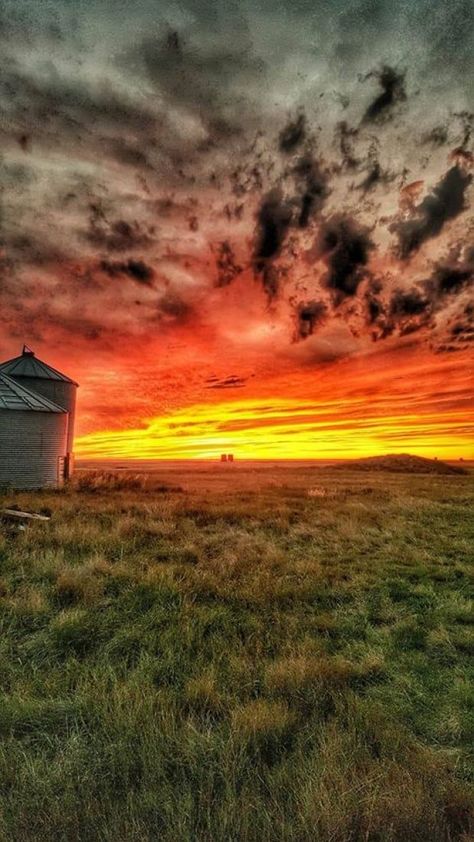 There has been some beautiful weather in Saskatchewan the last few days, and some beautiful skies as well. Here's a selection of recent photos from our readers (and a few from CBCers) ... Sunset Landscape Photography, Your Month Your, Country Sunset, Photos Black And White, Sunrises And Sunsets, Country Backgrounds, Sunrise Pictures, Söt Katt, Sky Pictures