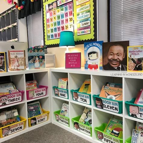 Class Library Organization, Science Of Reading Classroom, Kindergarten Classroom Library, Literacy Organization, Kindergarten Library, Classroom Library Organization, Teachers Toolbox, Book Bins, Class Library