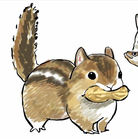 Kawaii Squirrel Drawing, Cute Squrriel Drawing, Grumpy Animal Drawing, Squrriel Draw, Squirrel Cute Art, Chipmunk Drawing Cute, Cute Forest Animals Drawing, Squirell Drawing Cartoon, Fall Animals Drawing