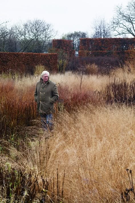 Piet Oudolf Garden, Oudolf Garden, English Flower Garden, Small Flower Gardens, Naturalistic Garden, Dutch Gardens, Contemporary Garden Design, Piet Oudolf, Prairie Garden