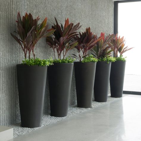 Sobria y homogenea esta linda serie de maceteros lineales altos. Plant Containers, Outdoor Garden Planters, Black Planters, Indoor Outdoor Planter, Planter Design, Modern Planters, Monstera Plant, Concrete Planters, Outdoor Planters