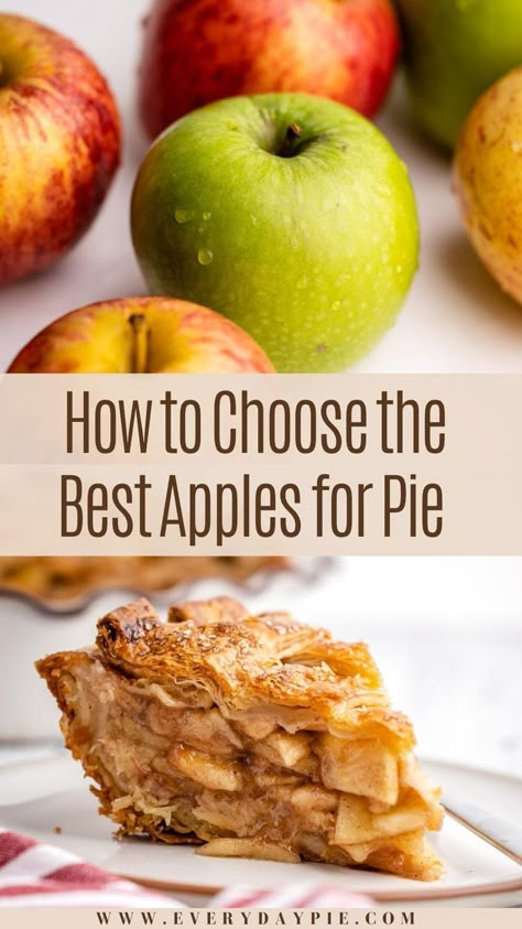 Without a doubt, the type of apples used for apple pie will directly reflect the baked result. This guide will help you choose the best apples for apple pie! How Many Apples For An Apple Pie, Apple Pie With Red Apples, Red Apple Pie Recipe, Apple Pie Gala Apples, Apples For Pies Best, Perfect Apple Pie Recipe, Americas Test Kitchen Apple Pie, Best Apples To Use For Apple Pie, Best Apple For Apple Pie