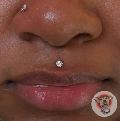 Madussa Piercing, Throat Piercing, Medusa Piercing Jewelry, Double Nose Piercing, Girly Girl Stuff, Medusa Piercing, Reference For Drawing, Piercings For Girls, Cute Ear Piercings