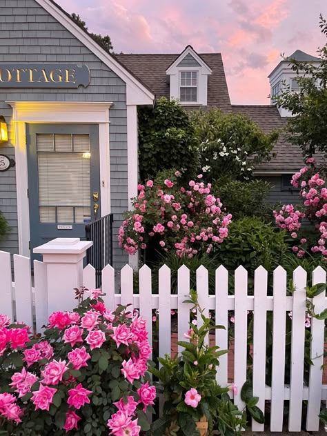 coastal cottage with white picket fence and pink wild roses with a sunset backdrop Coastal Granddaughter Pink, Nantucket Summer Aesthetic, Maine Aesthetic Summer, Coastal Grandmother Aesthetic, Maine Summer, New England Summer Aesthetic, New England Summer, Maine Flowers, Nantucket Aesthetic