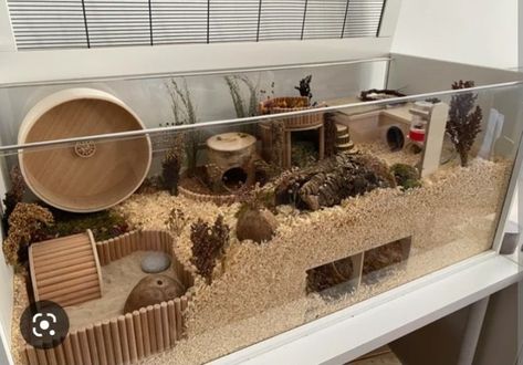 Hamster Cage Design, 75 Gallon Hamster Tank, Good Hamster Cage, Hamster Aquarium Ideas, Proper Hamster Cage, Hamster Home Ideas, Syrian Hamster Cage Ideas, Crochet Hamster House, Hamster Cage Inspiration