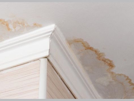 Bye-Bye Water Stains: A Step-by-Step Guide to Covering Up Ceiling Water Stains Apartment Ceiling, Water Stain On Ceiling, Ceiling Leak, Ceiling Repair, Brown Ceiling, Remove Water Stains, Leaky Roof, Waterproof Paint, Ceiling Texture