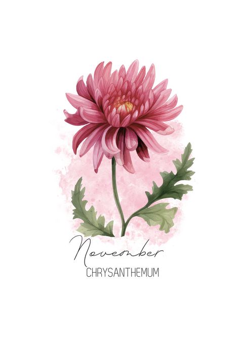 November birth flower, Chrysanthemum birth flower. Beautiful watercolor illustration of a vibrant Chrysanthemum that you can find on Greeting Cards, Mugs, T-Shirts, Throw Pillows, nature-inspired wall art, and much more. Charming and timeless gift for plant lovers and flower fanatics born in November. November birthday, Chrysanthemum birth flower, November birth flower, born in November, Scorpio, Sagittarius, zodiac flowers, autumn flowers, birth flowers, fall flowers, seasonal decor. Chrysanthemum Scorpio Tattoo, Birth Flower November, Birth Flower Watercolor, November Birth Month Flower, November Flower, Flower Chrysanthemum, Birthday Month Flowers, November Birth Flower, Born In November