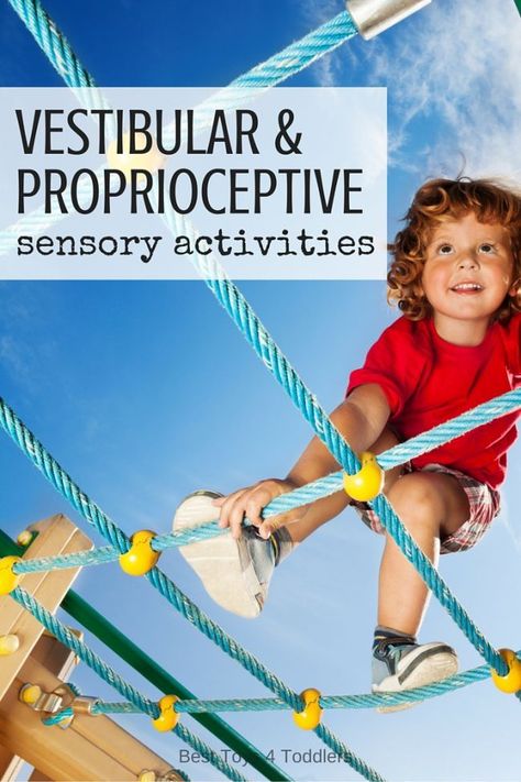 Vestibular and Proprioceptive Sensory Activities Vestibular Activities, Proprioceptive Activities, Sensory Disorder, Sensory Activities For Kids, Vestibular System, Sensory Therapy, Sensory Diet, Pediatric Occupational Therapy, Simple Activities