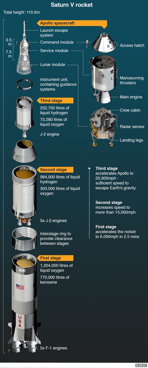 Apollo 11: Four things you may not know about the first moon landing - BBC News Apollo 11 Blueprint, Apollo Moon Missions, Saturn V Rocket, Apollo Spacecraft, Apollo Space Program, Nasa Space Program, Saturn V, Kerbal Space Program, Apollo Program