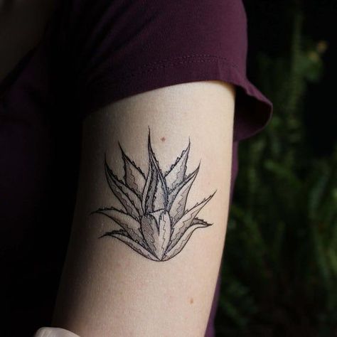 Line Drawing Nature, Black Line Drawing, Succulent Tattoo, Drawing Nature, Nature Tattoo, Plant Tattoo, Agave Plant, E Tattoo, Agaves