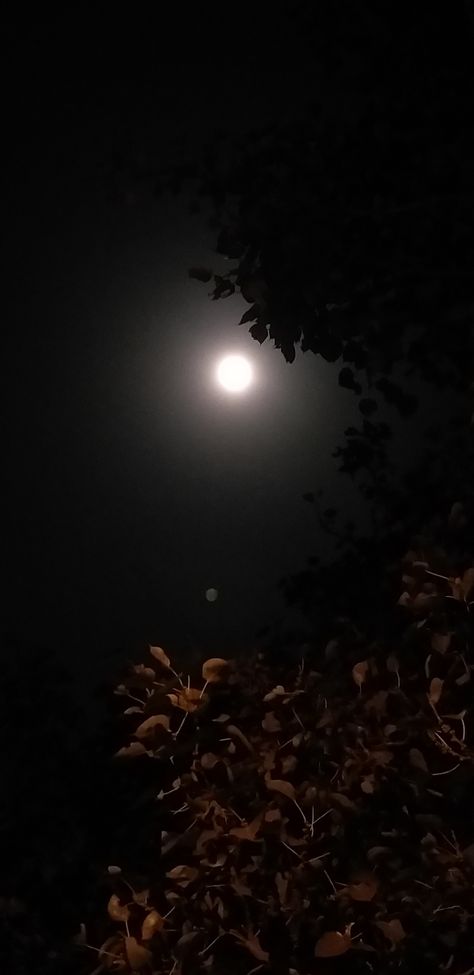 Moon Fake Story Instagram, Fake Moon Snap, Good Night Fake Snap, Full Moon Snapchat Story, Night Moon Snapchat Story, Full Moon Snap, Moon Snap Stories, Moon Snapchat Story, Night Moon Snaps