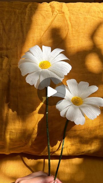 Florita on Instagram: "Crepe paper Daisy✨ Tutorial will be available soon on my website! #crepepaperflower #paperflower #paperdaisy #paperflower #handmadeflower #crepepaperdaisy" Crepe Paper Daisy Diy, Crepe Paper Daisy, Daisy Tutorial, Crepe Paper Flowers Tutorial, Crepe Flowers, Crepe Paper Flowers Diy, Crepe Paper Flower, Paper Flowers Diy Easy, Paper Flower Art