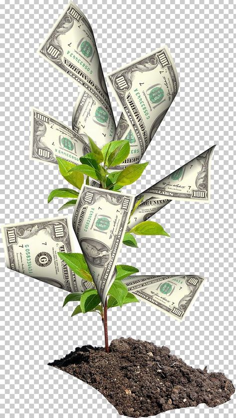 House Png, Agriculture Business, Managing Money, Phone Wallpaper Boho, Moving Wallpapers, Money Pictures, Money Spells, Money Trees, Free Facebook