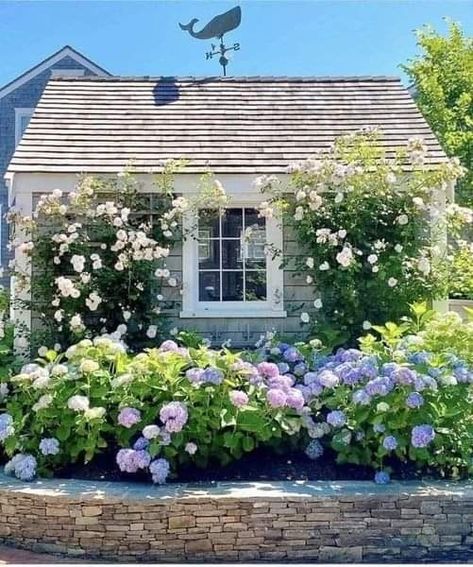 Hydrangea Garden, Have Inspiration, Garden Cottage, English Garden, Front Garden, Small Garden, Dream Garden, Yard Landscaping, Garden Planning