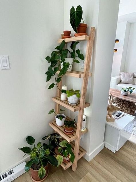 Plant Shelf Small Space, Plant Shelf Balcony, Plants Shelf Living Room, Wood Decor Aesthetic, Boho Plant Shelves, Small Plants Indoor Decoration Bedroom, Indoor Plant Ladder, Plant Shelves In Bedroom, Indoor Plant Shelf Ideas Bedroom