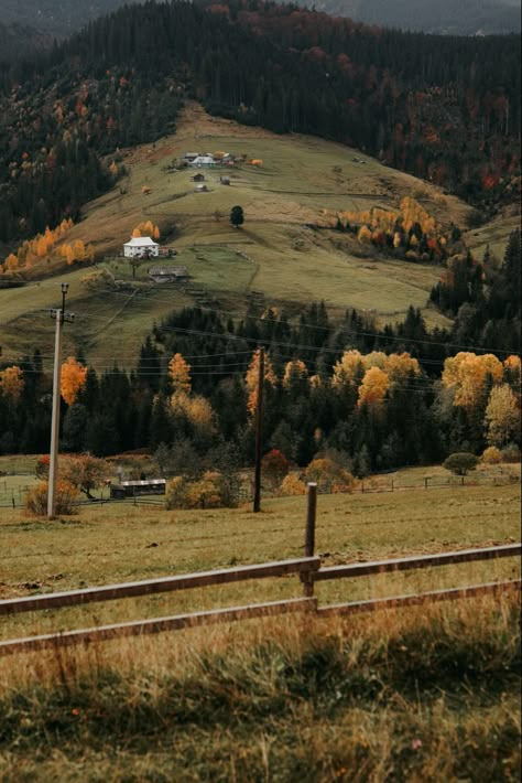 Fall Mountains Aesthetic, Ukraine Scenery, Autumn Nature Aesthetic, Ukraine Aesthetic Wallpaper, Ukraine Landscape, Fall Wallpaper Halloween, Ukrainian Architecture, Carpathian Mountains Ukraine, Ukraine Nature