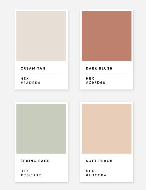 Japandi Hex Codes, Tan Beige Color Palette, Beige Colours Shades, Retail Store Color Schemes, Neutral Palette Hex Codes, Neutral Pastel Aesthetic, Summer Mountain Color Palette, Peach Cream Color Palette, Aesthetic Colour Schemes