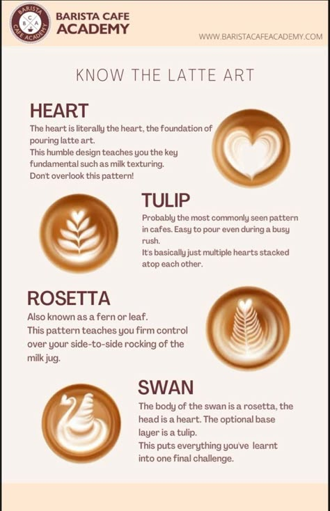 Barista Guide, Starbucks Quotes, Coffee Tutorial, Coffee Barista Art, Cold Coffee Drinks Recipes, Latte Art Tutorial, Barista Recipe, Coffee Chart, Barista Art