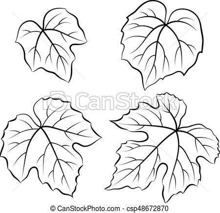 Fall Leaves Drawing, Mix Drawing, Grape Drawing, Grapevine Leaf, Wine Leaves, Fruit Sketch, Vine Drawing, Leaf Outline, Ivy Vine