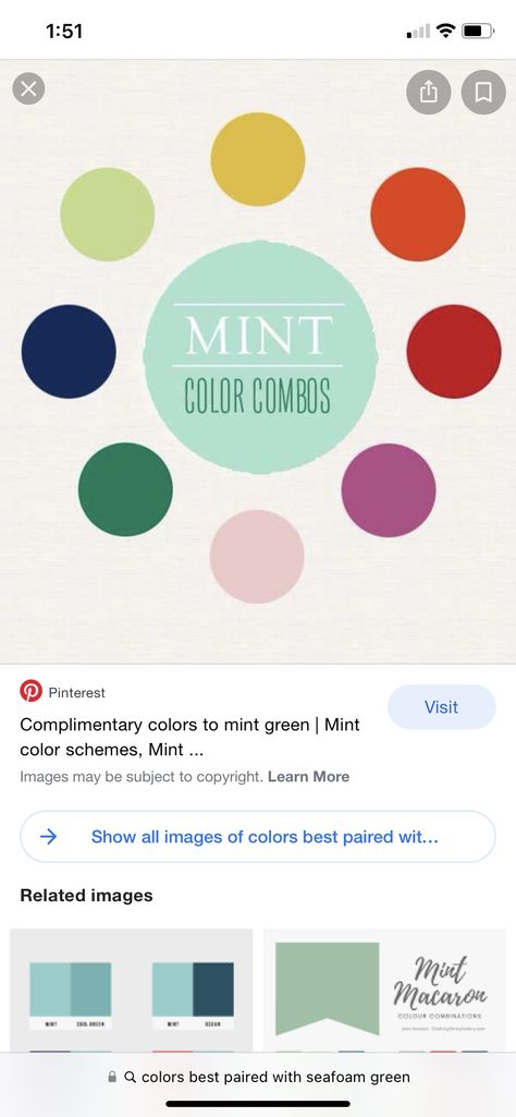 Mint Complimentary Colors, Sea Green Color Combinations, Seafoam Green Color Palette, Cottagecore Ghibli, Mint Color Schemes, Green Contrast Color, Mint Green Bedroom, Aqua Color Palette, Homeschool Space