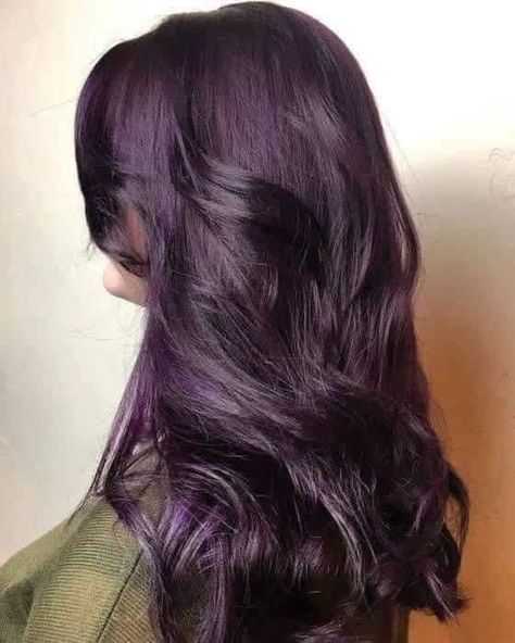 Aubergine Hair Color, Plum Hair Dye, Hair Color Guide, Hair Color Plum, Dyed Tips, Dark Purple Hair, Plum Hair, Wine Hair, Dyed Hair Inspiration