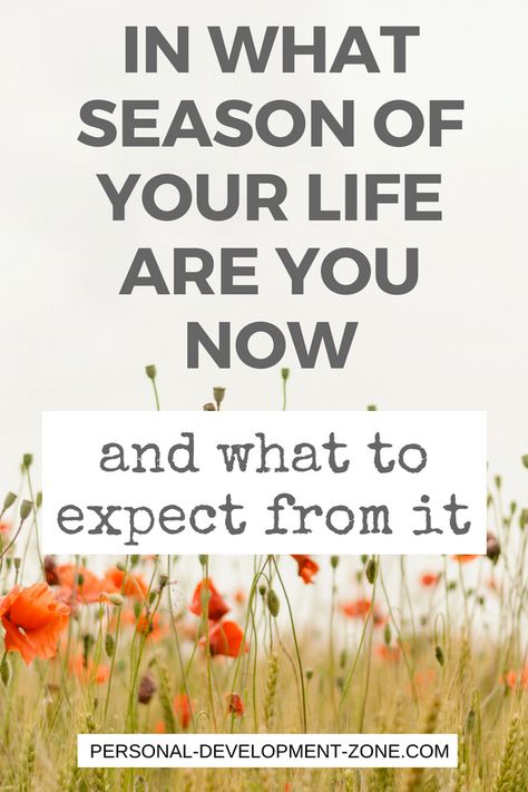 Life Seasons, New Seasons Of Life Quotes, People Are In Your Life For Seasons, Season Of Life, Season Of Life Quotes, Stages Of Life, People Come Into Your Life For Seasons, New Phase Of Life, Changing Seasons Of Life Quotes