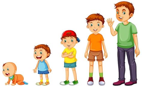 Human Clipart, Child Clipart, Growth Art, Human Life Cycle, Human Growth And Development, Drawing Children, Hand Washing Poster, Child Growth, College Projects