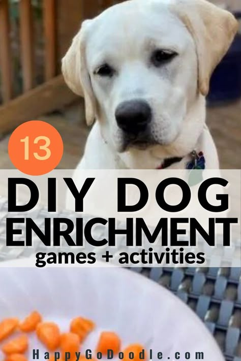 Labrador Retriever dog's happy face and the title DOG DIY Enrichment games & activities At Home Dog Enrichment, Inside Dog Activities, Diy Obstacle Course For Dogs, Puppy Boredom Busters Diy, Puppy Boredom Busters, Homemade Brain Games For Dogs, Dog Stem Activities, Dog Entertainment Ideas Diy, Homemade Enrichment Toys For Dogs