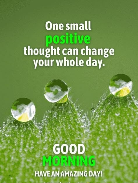 Morning Health Quotes, Positive Morning Quotes For Him, Motivation Good Morning Quotes, Positive Good Morning Quotes For Life, Good Morning Positive Quotes Motivation Happy, Happy Good Morning Quotes Smile, Positive Morning Quotes Happiness, Positive Good Morning Quotes Inspiration Beautiful, Positive Good Morning Quotes Motivation