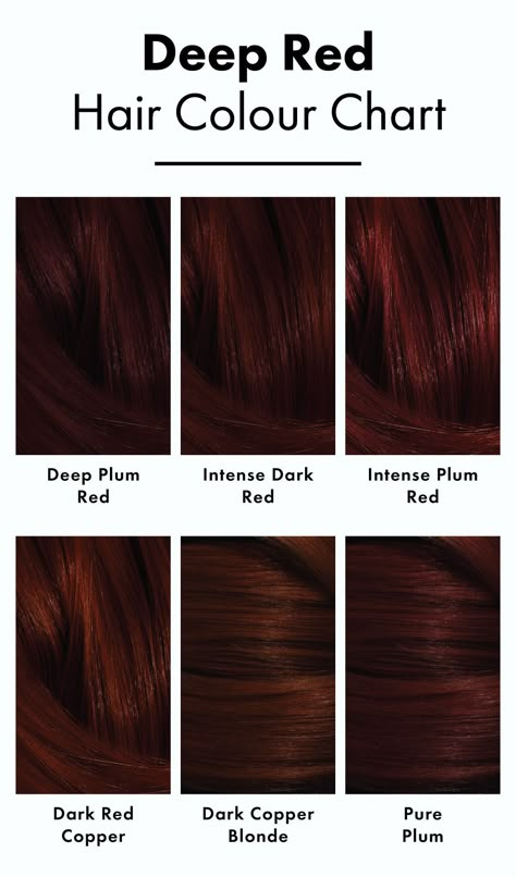 Expensive Red Hair Color, Reb Brown Hair, Darkest Red Hair Color, Cool Winter Red Hair, True Autumn Red Hair, Intense Dark Red Hair, Red Hair For Deep Winter, Natural Red Hair Dark, Cute Hair Colors For Brunettes Dyes