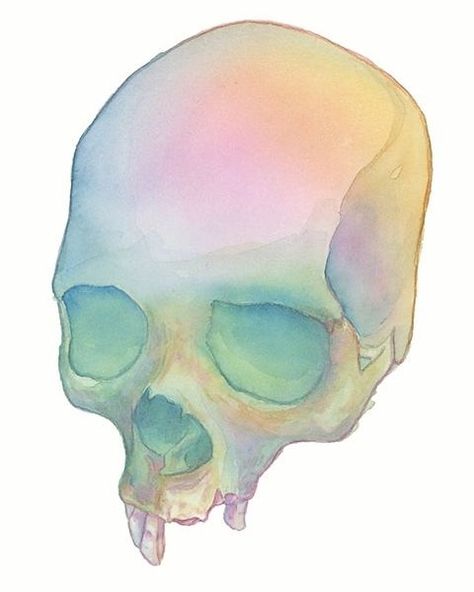 Brain Painting, Pastel Skull, Watercolor Pencil Art, Tenacious D, Skull Painting, Diy Watercolor Painting, Watercolor Pencil, Skull Drawing, Human Skull