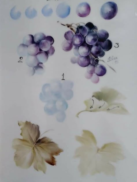 Grape Watercolor, Grape Painting, Watercolor Paintings Nature, Watercolor Fruit, Watercolor Lessons, Fruit Painting, Watercolor Flower Art, Plant Painting, China Painting