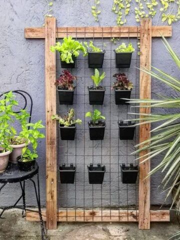 Wall Garden Ideas Outdoor Hanging Herbs, Herb Vertical Garden Wall, Green Wall Outdoor Vertical Planter, Outdoor Vertical Herb Garden, Outdoor Wall Herb Garden Ideas, Fence Herb Garden Ideas, Herb Garden Trellis, Vertical Pot Garden, Vertical Garden Herbs