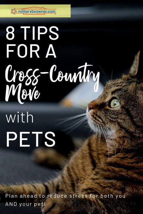 Cross Country Move Checklist, Moving To New Country, Moving With Pets, Cross Country Move With Pets, Cross Country Moving Tips, Moving Cross Country With Pets, Driving Across Country, Moving Across Country, Cross County