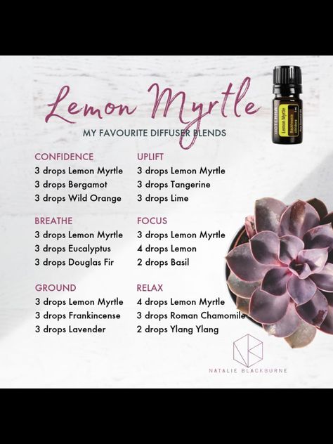 Juniper Berry Essential Oil Blends, Juniper Diffuser Blends, Juniper Berry Diffuser Blend, Juniper Berry Recipes, Lemon Myrtle Essential Oil, Myrtle Essential Oil, Cedar Essential Oil, Eo Blends, Juniper Essential Oil