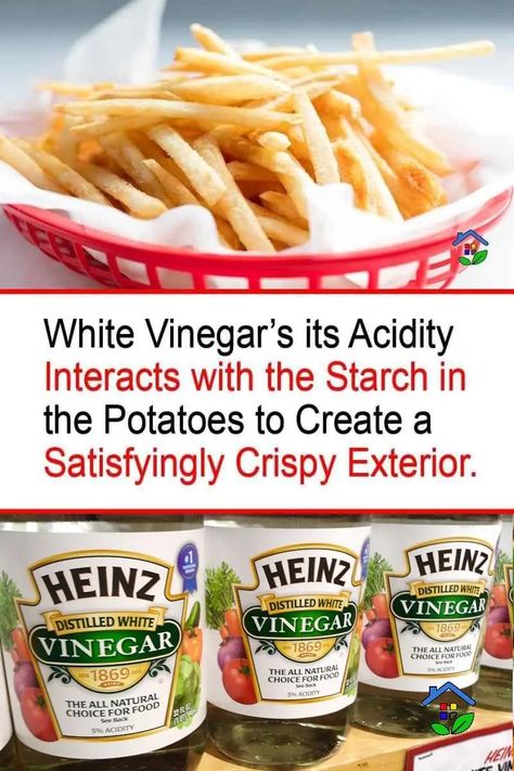 White Vinegar: Your Key to Crispy French Fries Salt And Vinegar French Fries, Crispy Oven Fries Cornstarch, Best Potatoes For French Fries, Air Fry French Fries Fresh, Crispy Air Fryer French Fries, Homemade French Fries In Deep Fryer, Crispy French Fries Recipe, Homemade Fried French Fries, How To Make Crispy French Fries